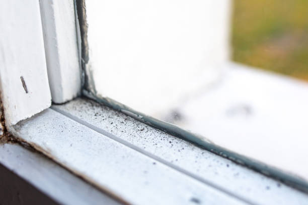 Best Airborne Mold Testing  in Mcleansville, NC